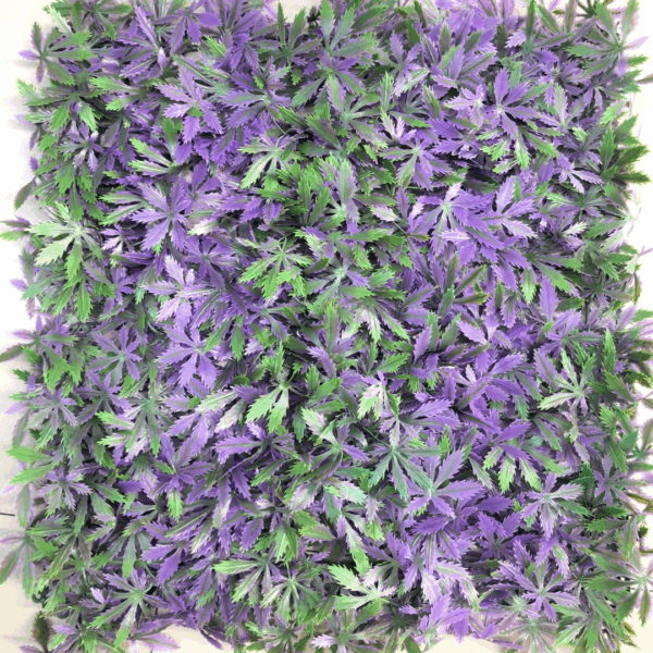 J VERTICAL ESTRELLA MORADA 188005K