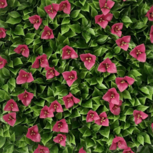 188060B J VERTICAL BUGANVILLA ROJA 188060B