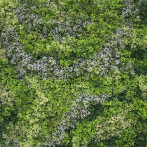 189052A J VERTICAL 189052A