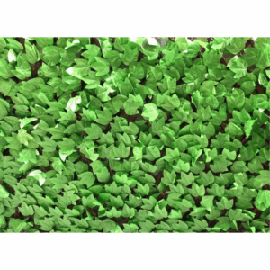 192036A J PLEGABLE VERDE 192036A