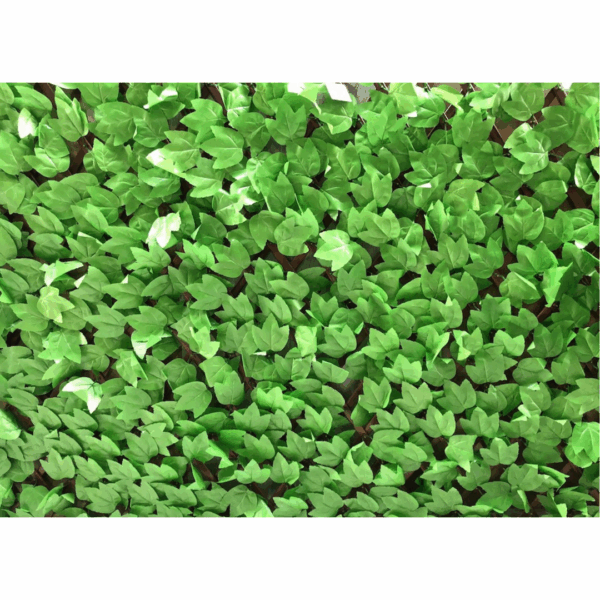 J PLEGABLE VERDE 192036A