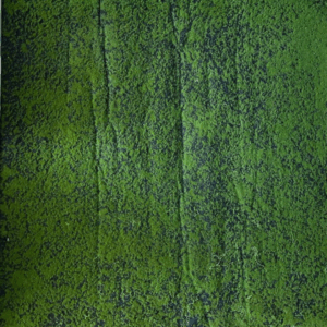 2332525 J VERTICAL MUSGO CKW09