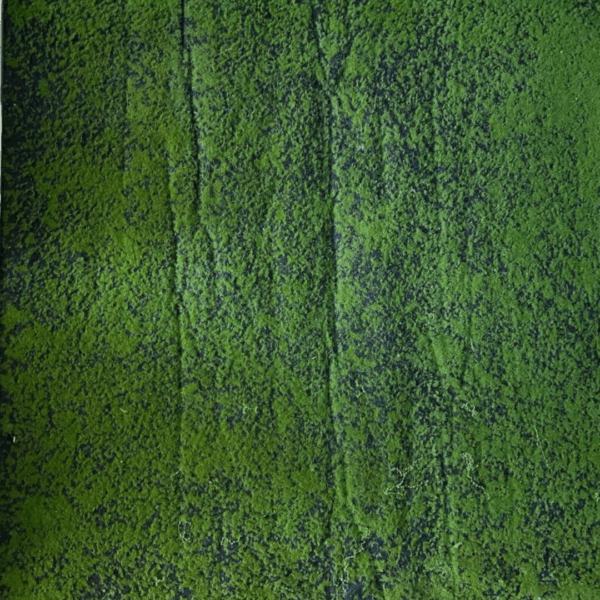 J VERTICAL MUSGO CKW09