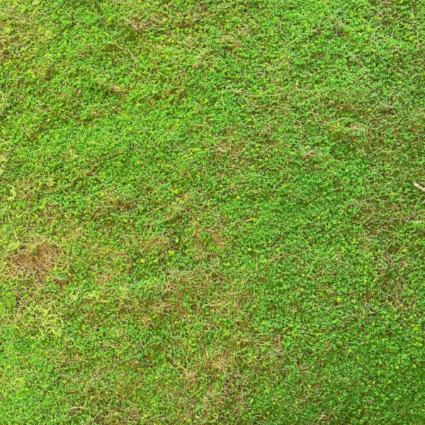 2332716 J VERTICAL MUSGO CKW16