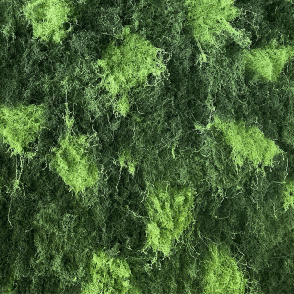 2332717 J VERTICAL MUSGO CKW19