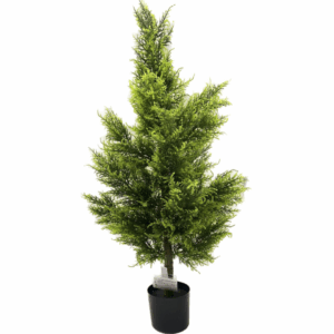 J PLANTA CEDAR AL-BSS-120C