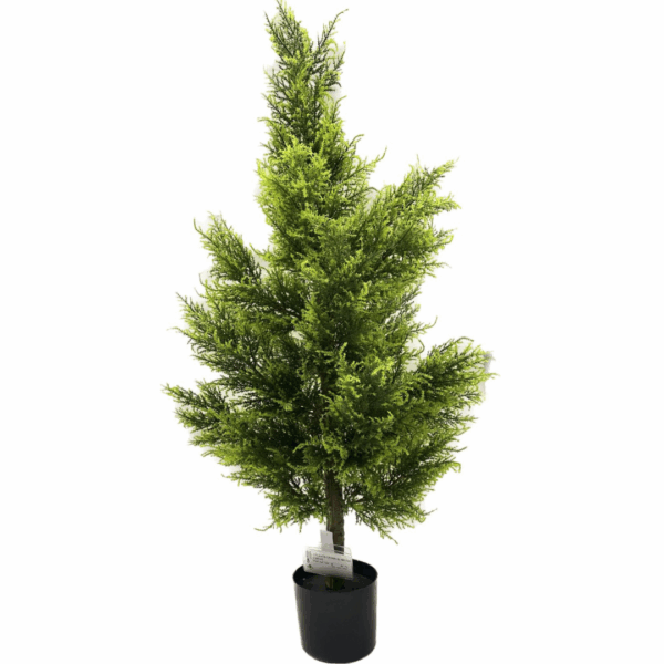 J PLANTA CEDAR AL-BSS-120C