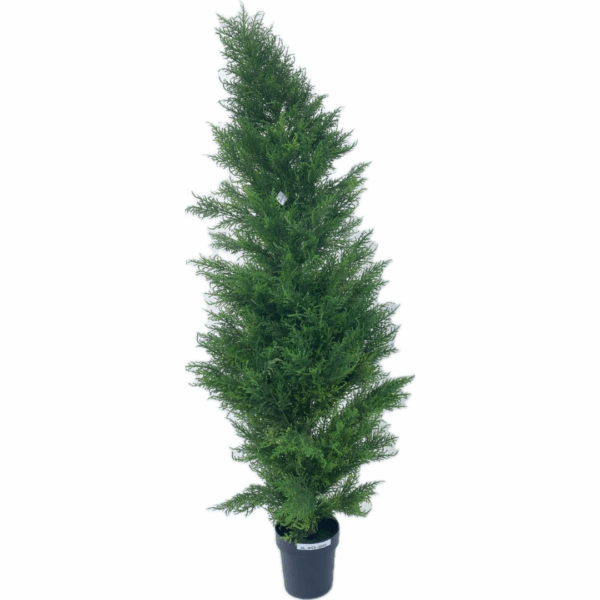 J PLANTA CEDAR AL-BSS-180C