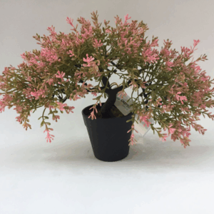 J PLANTA BONSAI AL-X1-07