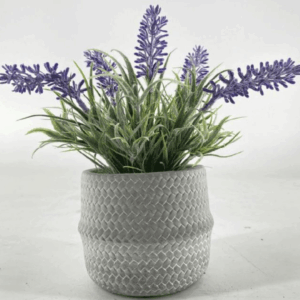 J PLANTA LAVANDA AL-XYC-20