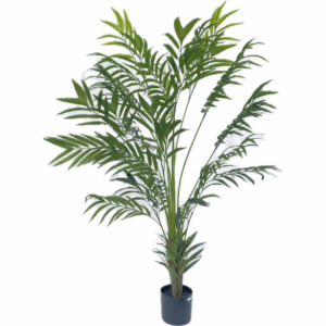 J PLANTA PALM F03604377