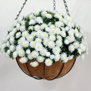 J FLORERO BLANCO 172005A