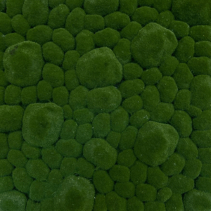 KW31 J VERTICAL MUSGO KW31