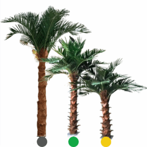 J PLANTA PALMERA