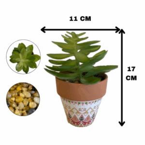 J PLANTA WH042
