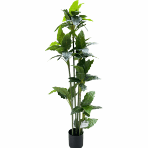 J PLANTA GREEN ARUM HU011-G