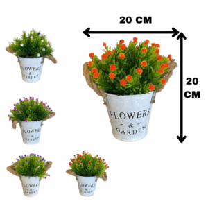 J PLANTA FY025 SURTIDO