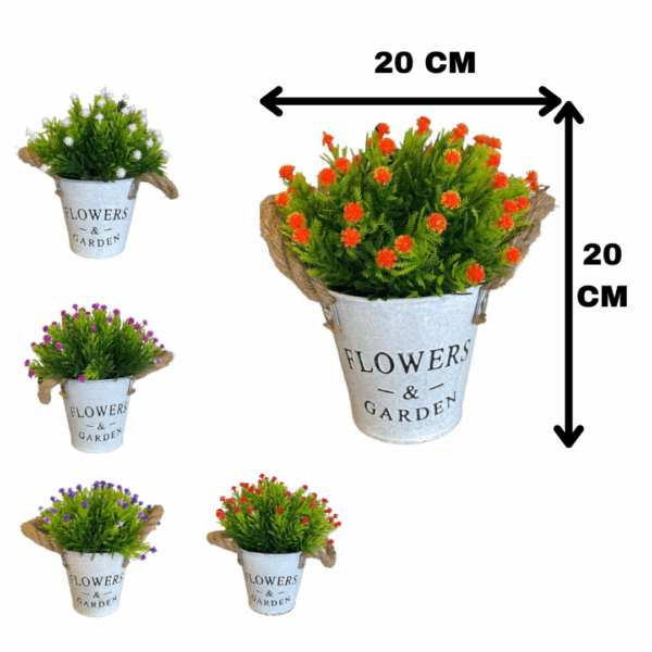 J PLANTA FY025 SURTIDO