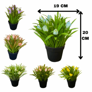 J PLANTA FY065 SURTIDO