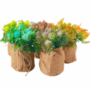 J PLANTA FY3065 SURTIDO