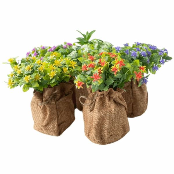 J PLANTA FY3070 SURTIDO