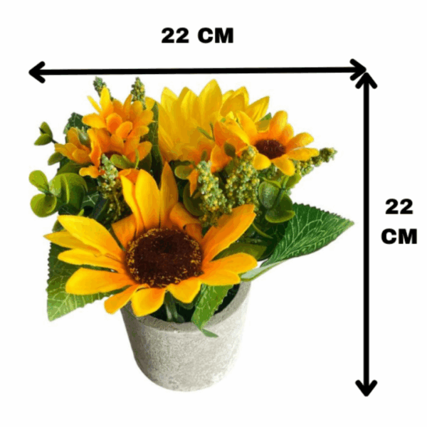 J PLANTA LF001A GIRASOLES