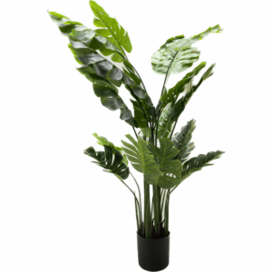 J PLANTA LUCKY MONSTERA JXKKX-120-10