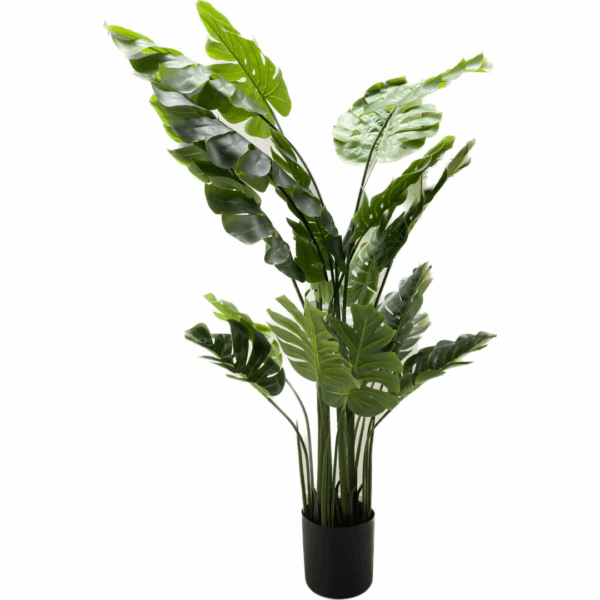 J PLANTA LUCKY MONSTERA JXKKX-120-10
