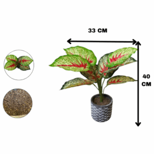 J PLANTA LZ009A