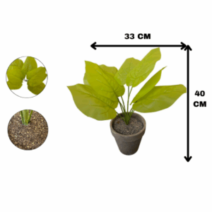 J PLANTA LZ012C