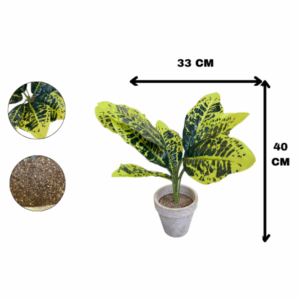J PLANTA LZ019C