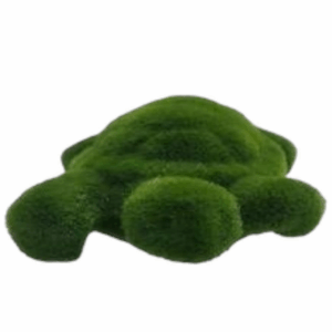 J FIGURA KW04 TORTUGA