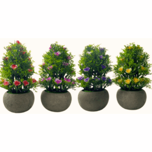J PLANTA Q1306 SURTIDO