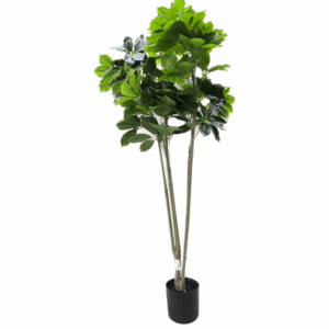 J PLANTA BUCKEYE QXY-190-490