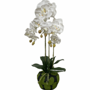 J PLANTA BUTTERFLY BLANCA RX-FZ3