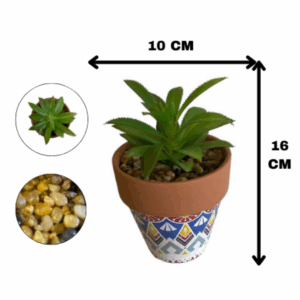 J PLANTA WH010