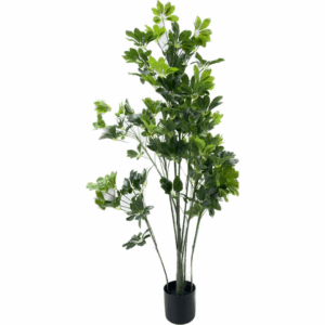 J PLANTA SCHEFFLERA YJM-155-864