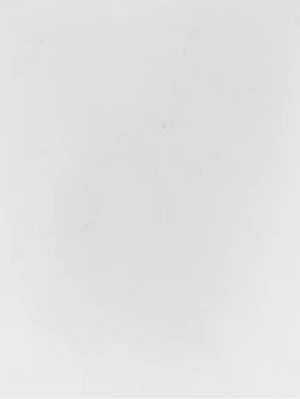 REC PARED PANEL T BRILLANTE WHITE G1019.