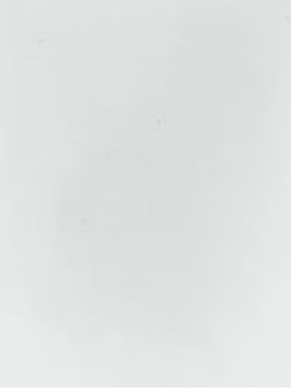 G1019 REC PARED PANEL T BRILLANTE WHITE G1019.